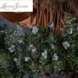 MOYSES STEVENS FLOWERS TRADING CO. L.L.C