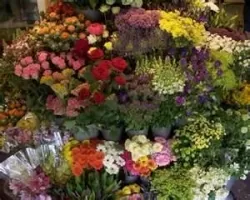 Kingston Florist ACT