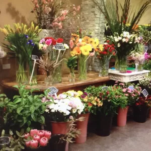 Jervis Bay Florist