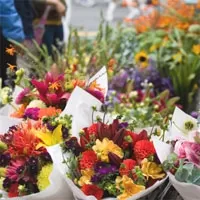 Poetry In Flowers - Gungahlin