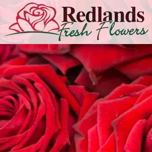 Redlands Fresh Flowers  - Thornlands