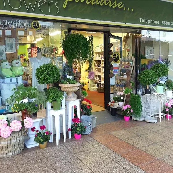 Treudie's Flowers in Paradise - Ballina