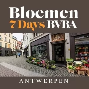 Bloemen 7 days BVBA - Antwerpen