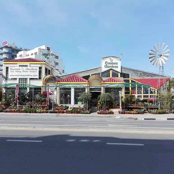 Cosmea Gardens - LARNAKA