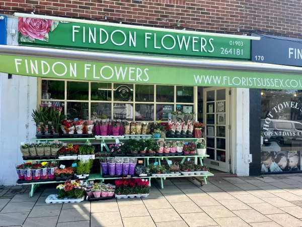 Findon Flowers  - Worthing