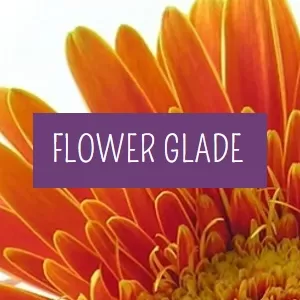 Flower Glade - Longridge