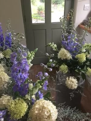 Halley Floral Design - Okehampton