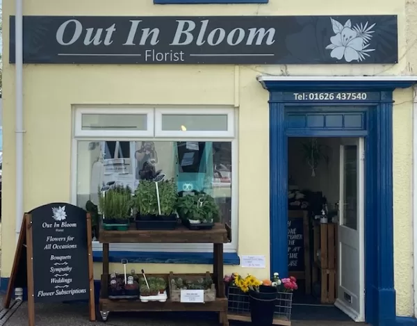 Out In Bloom - Bovey Tracey