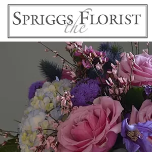 Spriggs Florist - Petworth