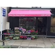 Sweet Pea Floral Design - Radstock