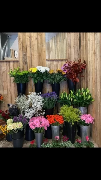 The Greenhouse Florist - Stourbridge