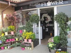 The Little Flower Company