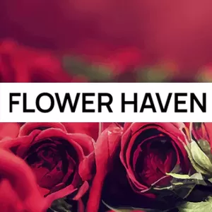 Flower Haven - Oranmore