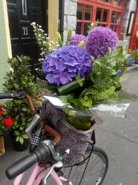 The Daisy Bowl Florists - GALWAY 