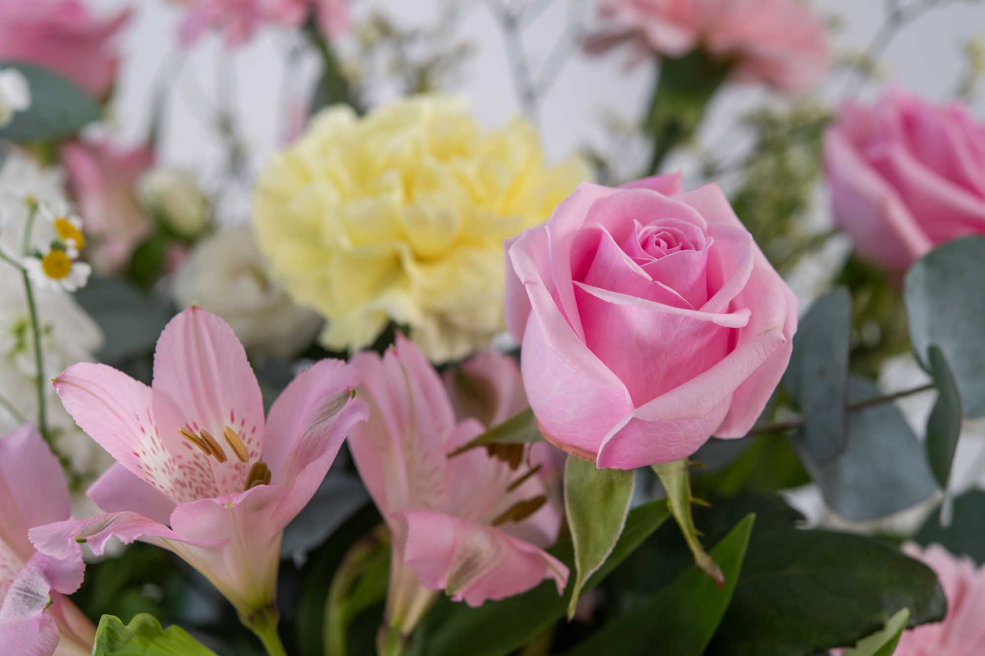 Close up of the a pastel themed bouquet with featured pink rose