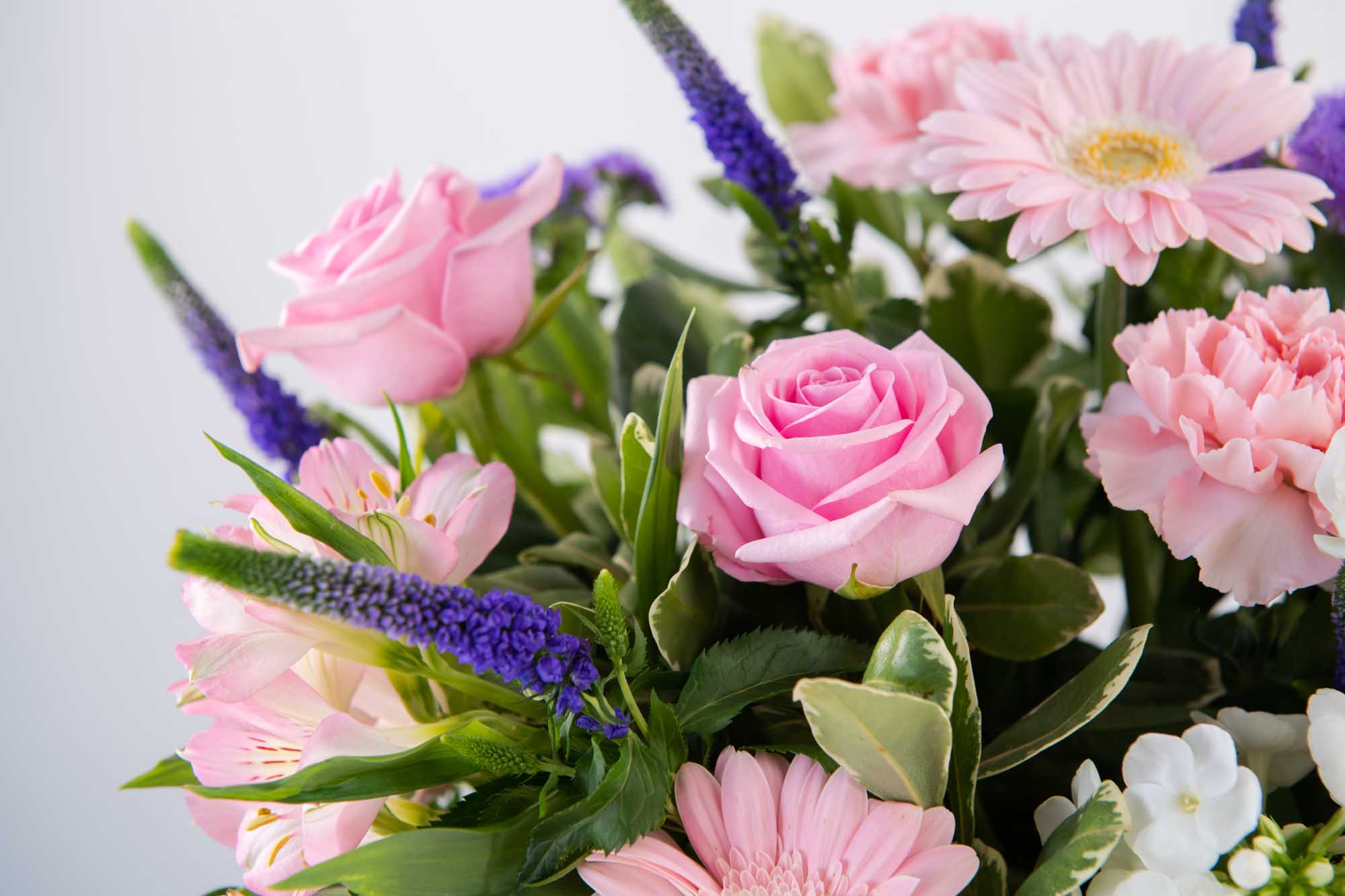 Close up of pink roses and pink alstromeria and blue flowers