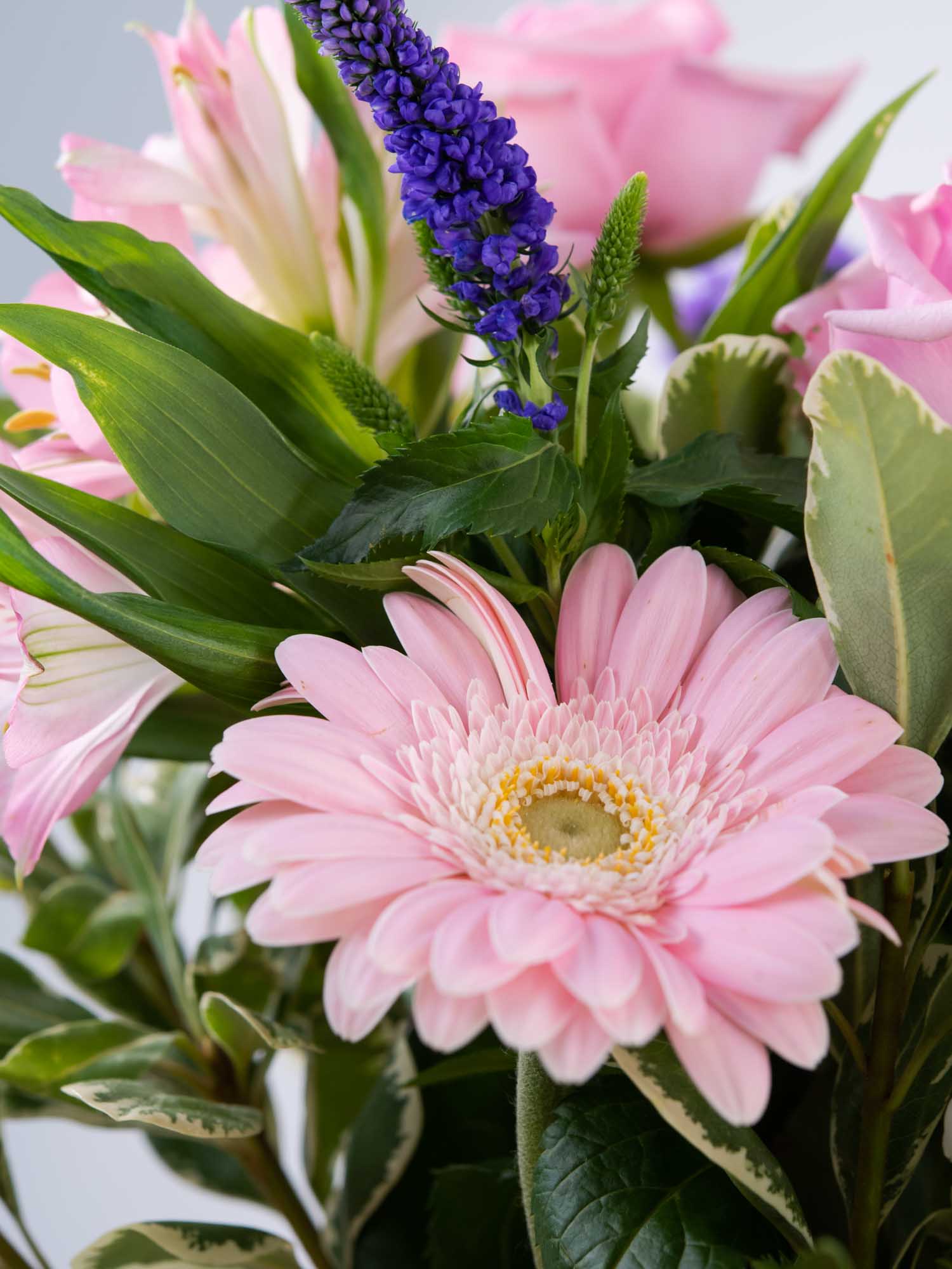 Close-up of wedding congratulations flowers with pink roses