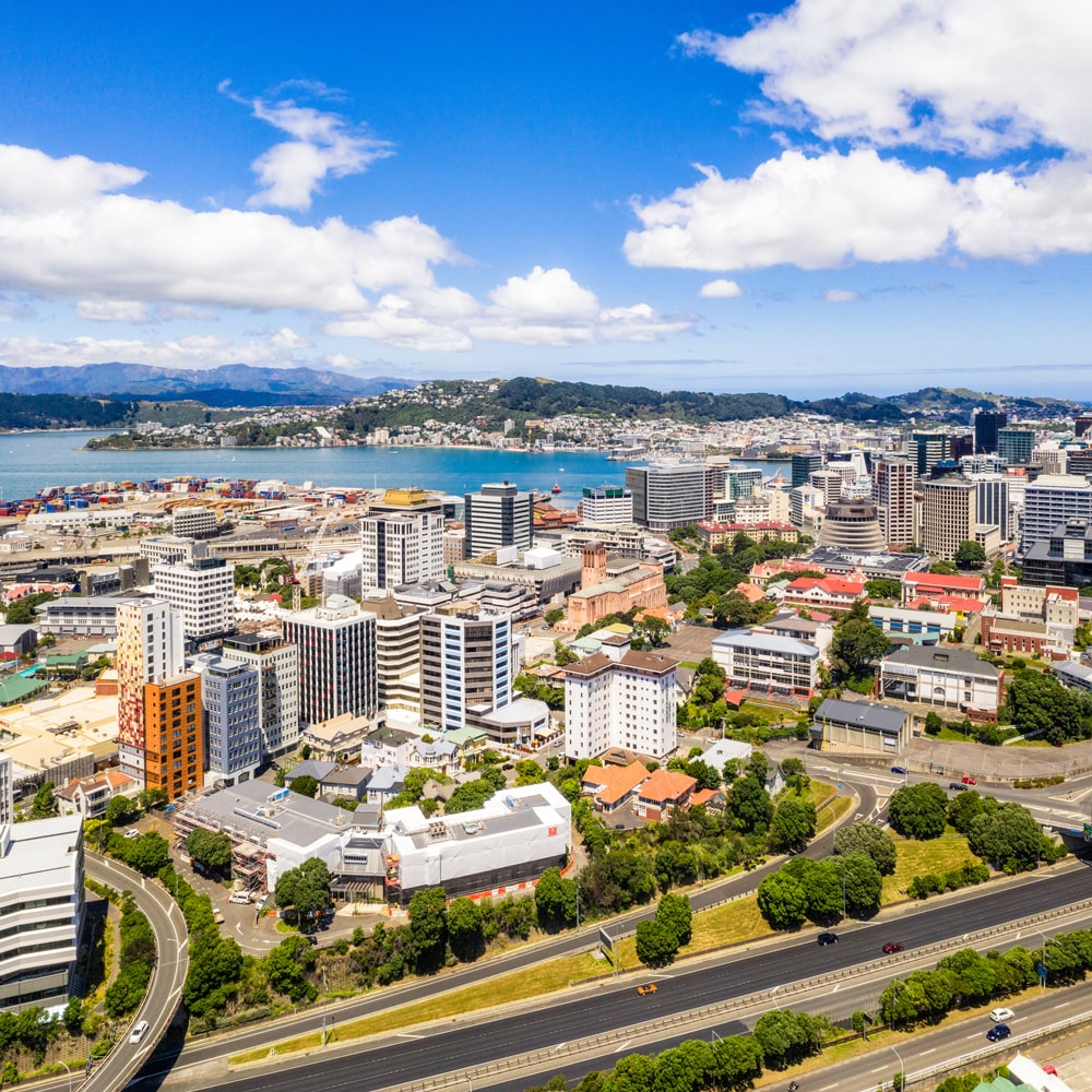 Wellington skyline with modern buildings, a harbor, and green hills in the background.