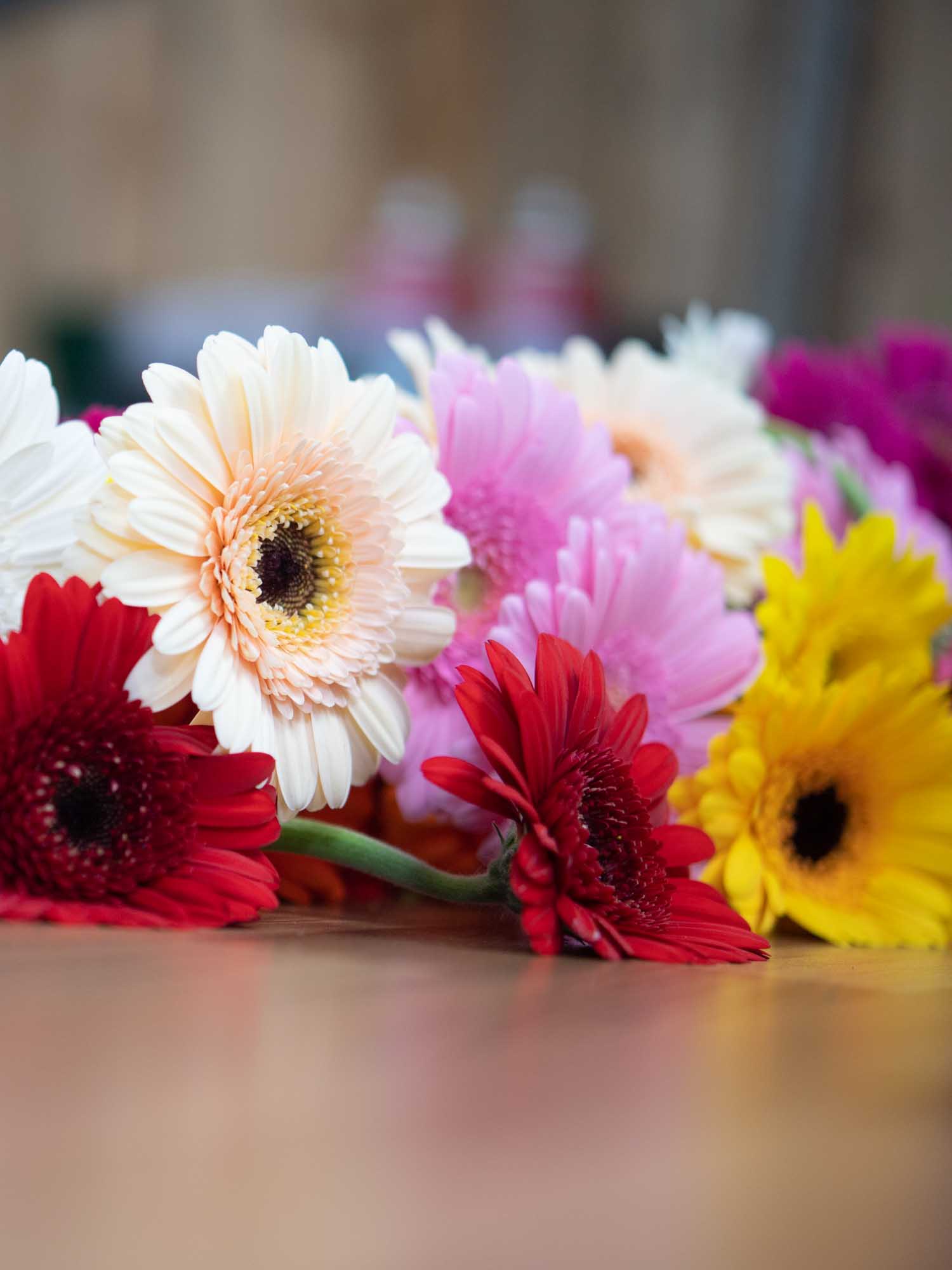 Eco flowers Ireland – colorful gerberas by local florist
