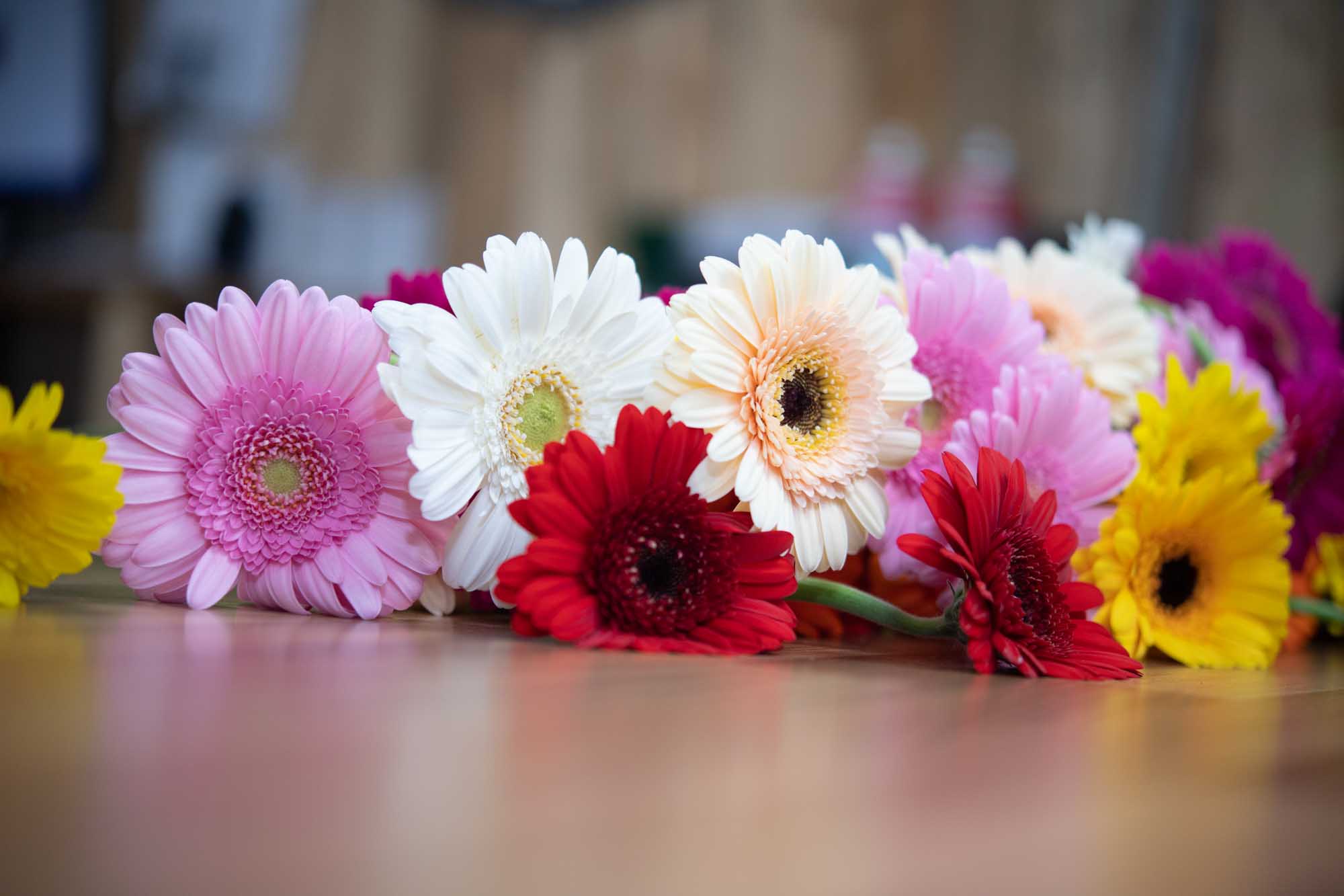 The Art of Apology: Sending Flowers to Say Sorry