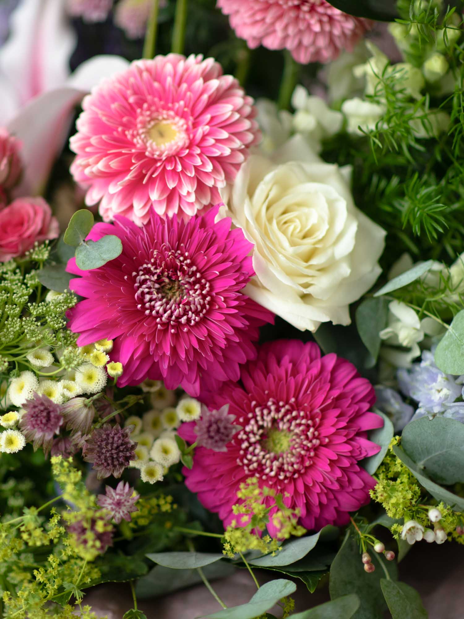 close-up of a luxury bouquet in mixed colours. Features roses and gerbera