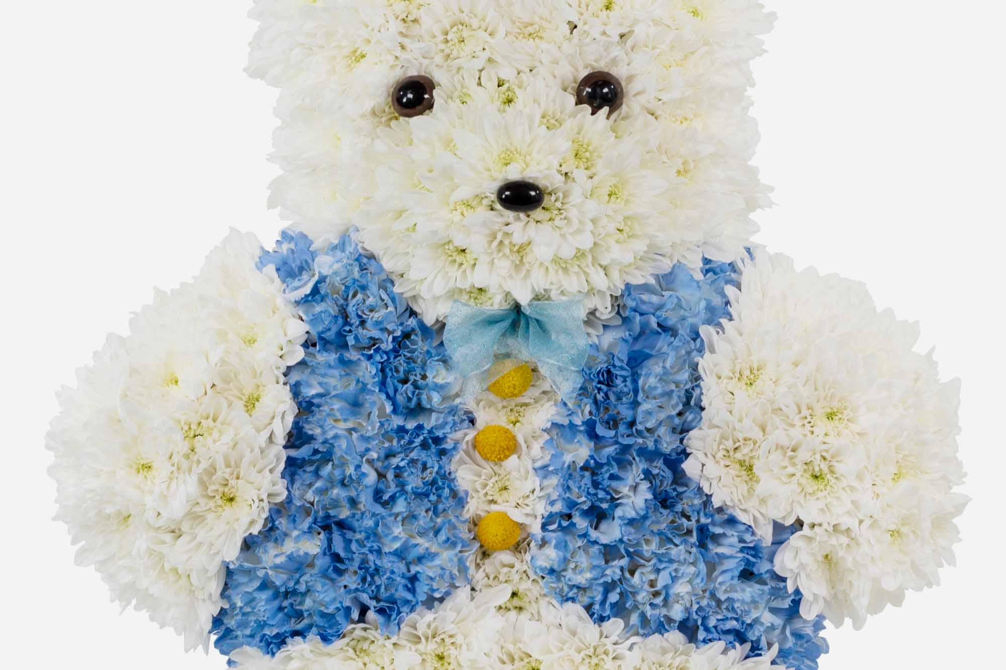 Close-up of a funeral teddy shaped arrangement made with white chrysanthemum with featured blue flowers on a white background.