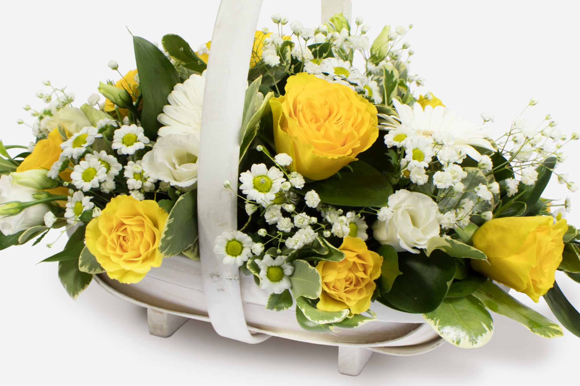 Close up of a white basket of yellow roses and white flowers placed on a white background