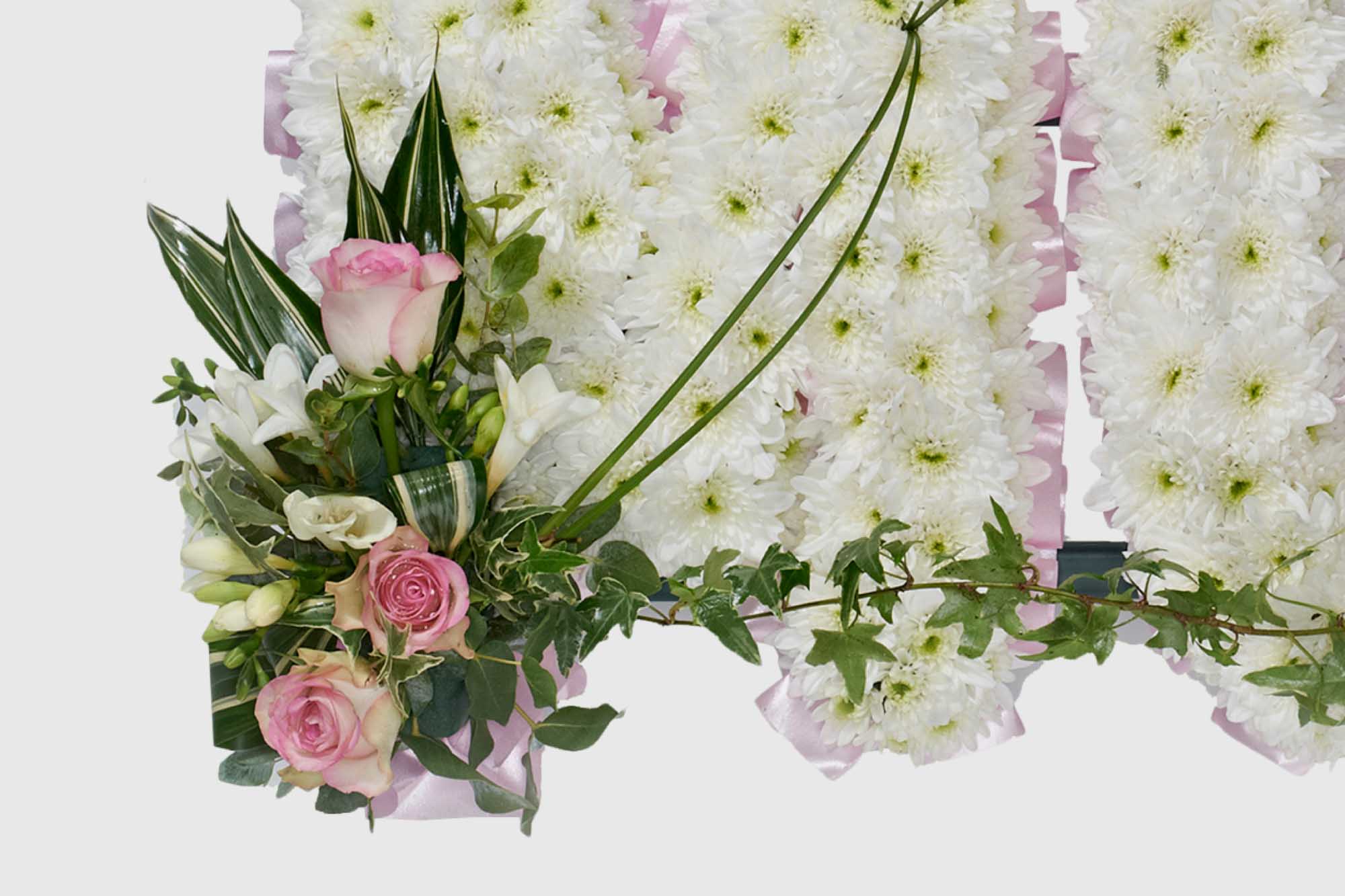 Close-up of an M letter from a MUM funeral tribute made with chrysanthemum on a white background