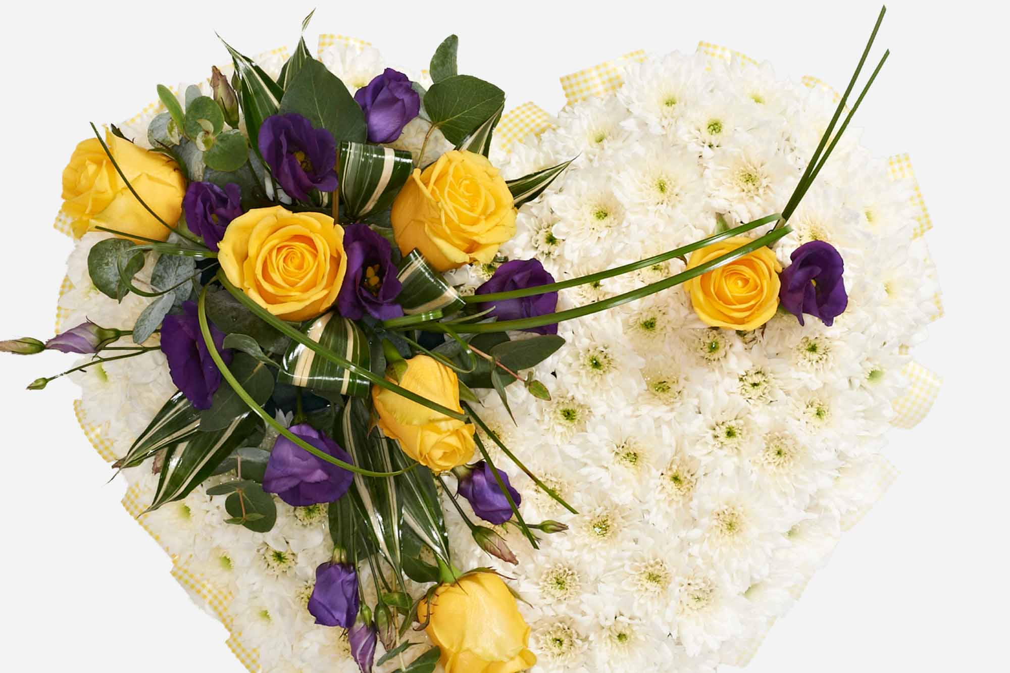 Close-up of a funeral heart shaped arrangement made with white chrysanthemum with featured purple and yellow flowers on white background.