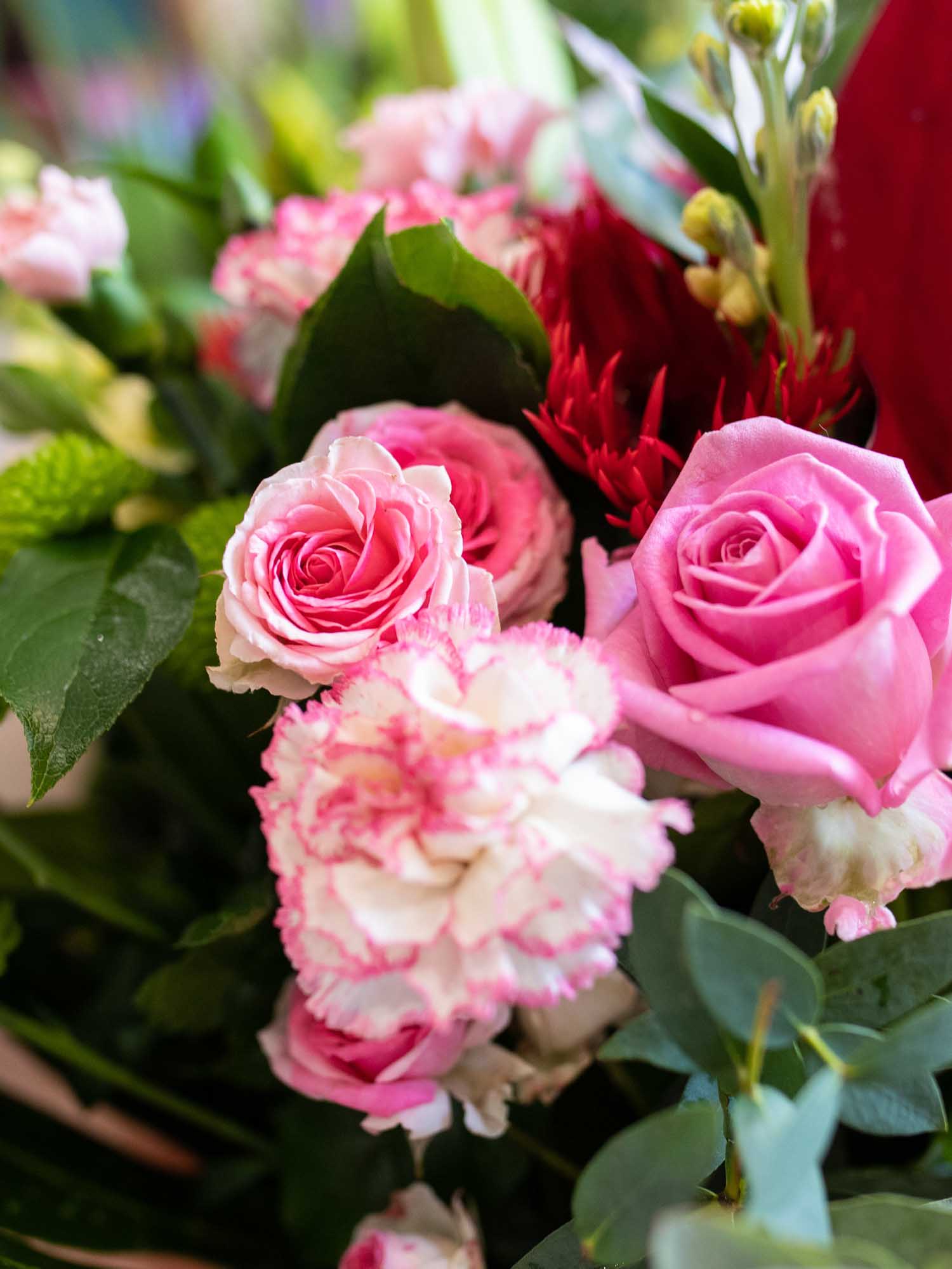 Close up of pink roses, white and pink carnation ans some foliage.