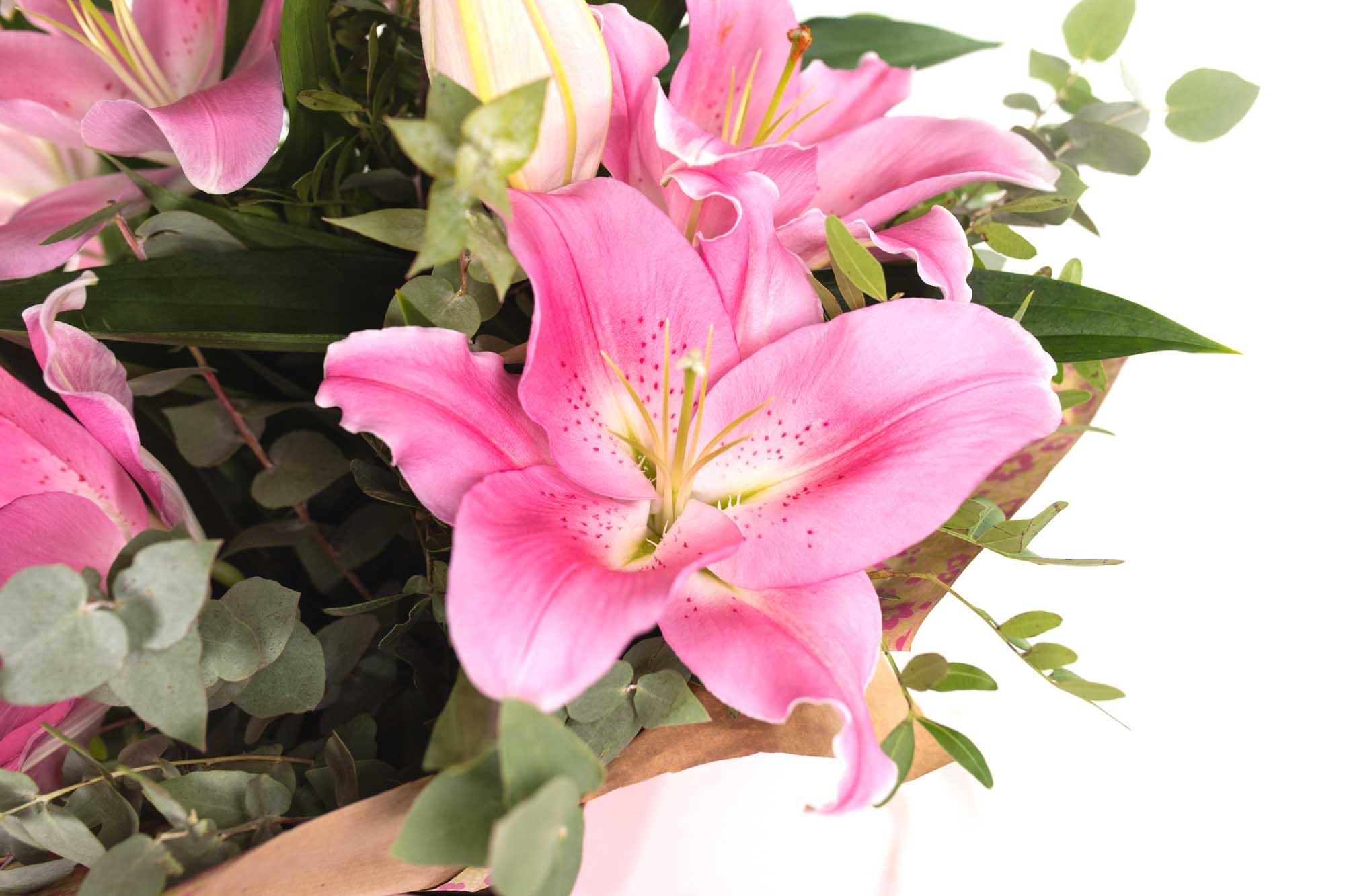 Close up of a white lily bouquet on a white background